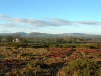 Clwydian Ecology phto of landscape